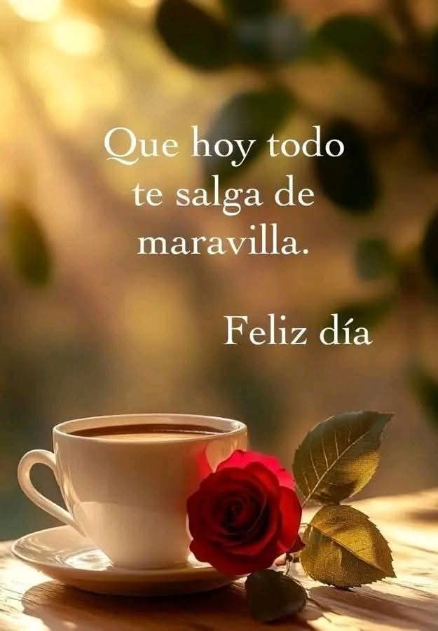 #20marzo2025 que tengan un bonito día....
#IndonesiaGelap #Crypto #nadiedicenada