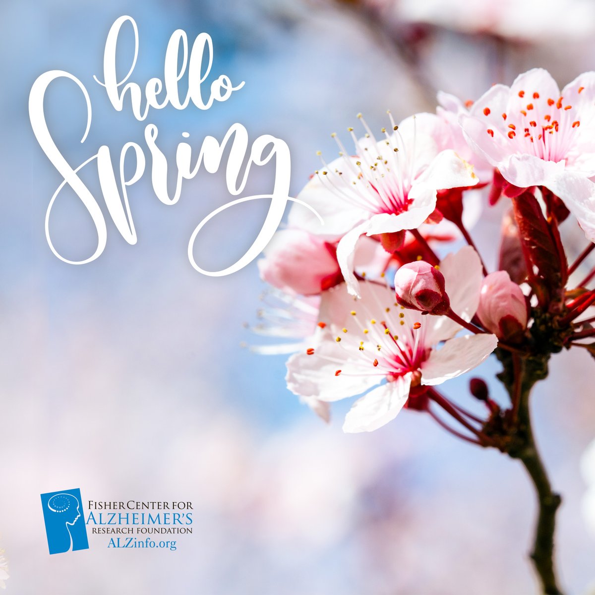 FisherCenter's tweet image. Happy First Day of Spring! Longer days bring more light, which can help ease sundowning in Alzheimer’s, reducing confusion and agitation. Caregivers, take a moment to enjoy the warmth, fresh air, and brighter days ahead. 

#SpringForward #AlzheimersCare #CaregiverSupport