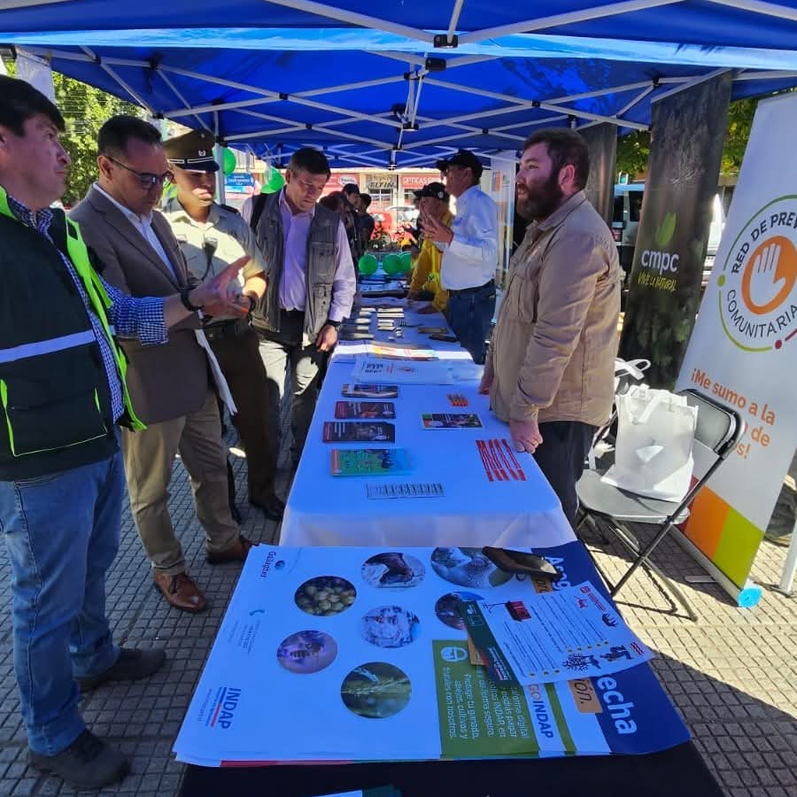 conaf_maule's tweet photo. 🚫🔥 Con un llamado a no bajar la guardia y a la responsabilidad social, se realizó la Expo de Prevención de Incendios Forestales en la Plaza de Armas de #Cauquenes. 
Participaron #ConafMaule, #CORMA Maule-O'Higgins, Red de Prevención Comunitaria y @DPPCauquenes https://t.co/n91aG61m3A