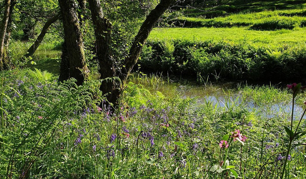 WeAcceptPets's tweet image. Perfect for those seeking the ultimate rural retreat, Swallow Barn at Waterloo Farm provides a peaceful escape surrounded by breathtaking scenery. 🌳

Accepts 🐶
weacceptpets.co.uk/Cornwall/8302

#RuralRetreat #CornishEscape #SelfCatering #FamilyHoliday #DogFriendly #CountrysideGetaway