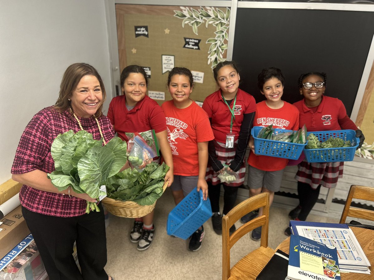 MDCPSSci's tweet photo. Thank you principal Lamazares and the whole @BenSheppardES Family for welcoming our Science Support.
From hands-on labs π₯Ό to a delicious π STEAM Garden πͺ΄
#ScienceInEveryClassroom
@AileenVega123 @WendyForteza @DaneMDCPS @NestorEMarcia @MDCPSSTEAM @MDCPSAcademics @MDCPSNorth https://t.co/B0IxbKhxPp