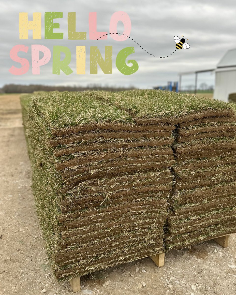 sod_gm's tweet photo. It’s officially the first day of Spring! Spring showers may bring May flowers, but it also brings our sod back to its vibrant green color. Install your lawn this spring so that it’s ready for all of the barefoot play during summer☀️ https://t.co/qeHxKS3Sxx