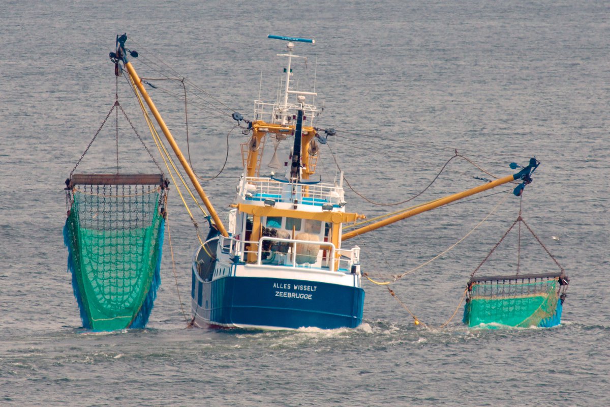 Deze week leest u in ons weekjournaal over visserijbeperkingen in Noorse en Belgische wateren en de Wnb-vergunning voor garnalenvissers. vissersbond.nl/weekjournaal-2… #visserij #vissersbond #garnalenvisserij