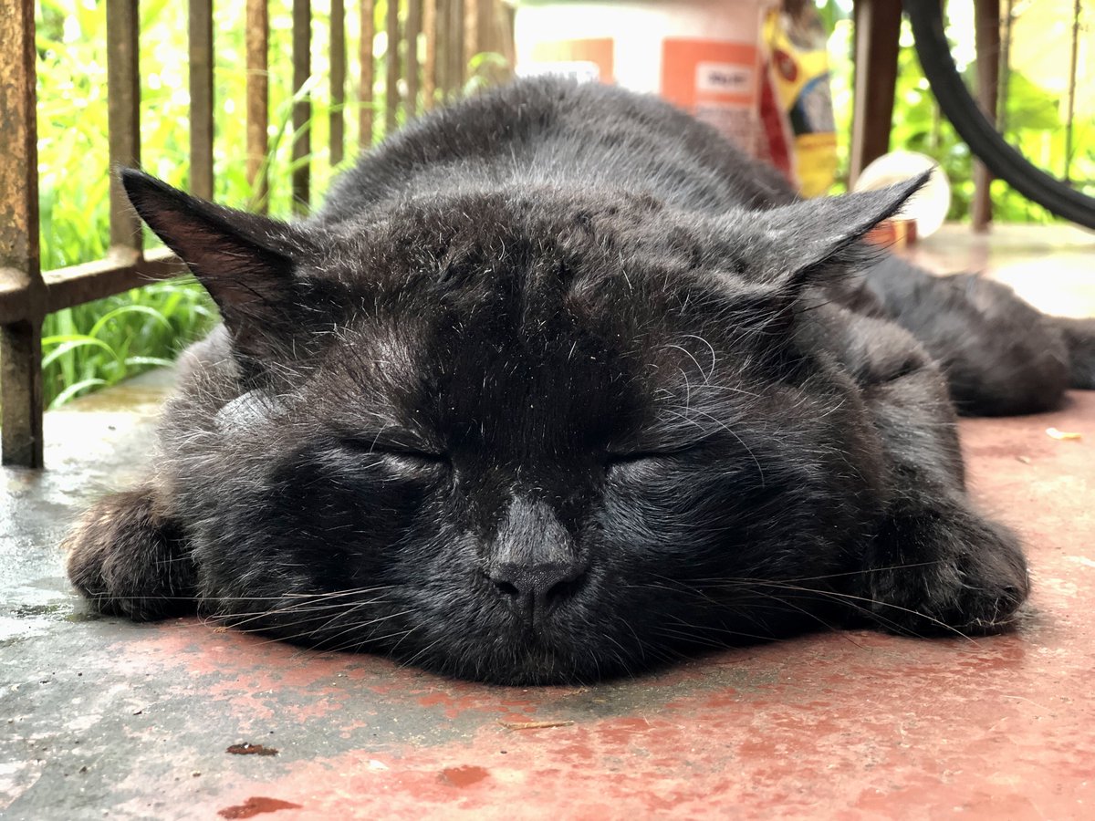 Bharath Bhushan tweet media