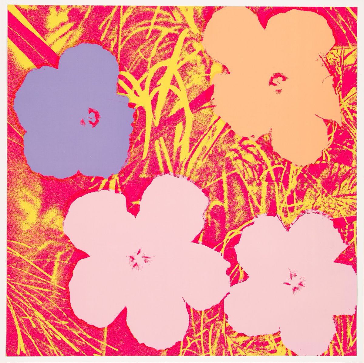 New season just dropped
Happy spring!