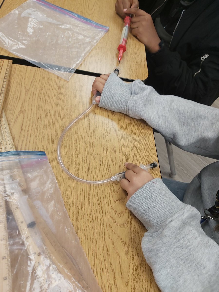 Grade 7/8 World tweet media