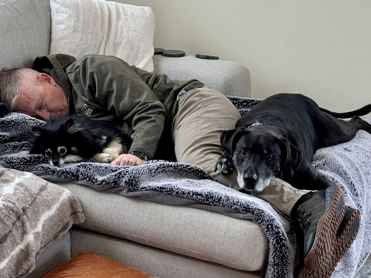 The ONLY drawback to napping with these two is that they’re on autopilot with respect to doorbells &amp; Amazon deliveries. 

Consider the one on the left “AIM-9 Sidewinder” and the one on the right, “AIM-54 Phoenix”

They NEVER miss an opportunity to launch. 😀