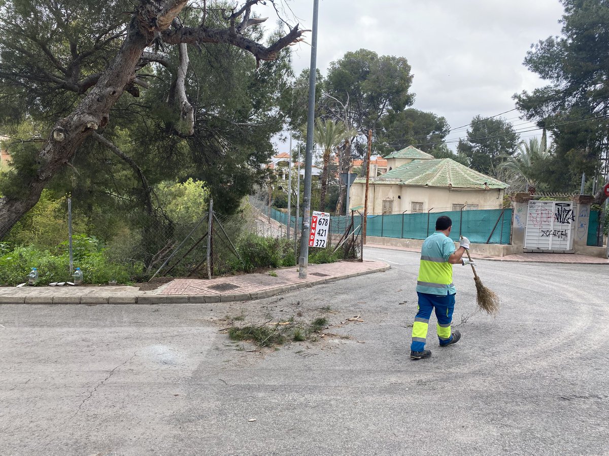 PPLaAlberca's tweet photo. Gracias a la coordinación de las concejalías de @Rebepl y @Ppguillenparra, se ha procedido a la rápida actuación esta mañana en la eliminación de estas ramas de pino debido a un accidente con el camión de recogida por la dejadez del dueño del solar. #seguimostrabajando https://t.co/63cxCKwThb
