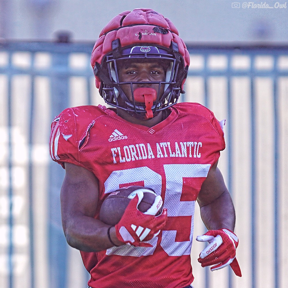 FAU Owls Nest tweet media