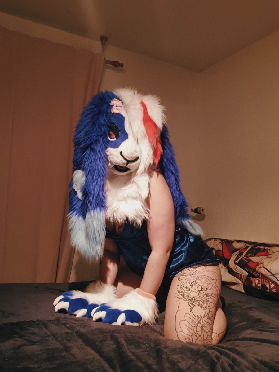 Its so soft here come join 🔥🐰

#murrsuit #hotbunny #hot #murrsuiter
