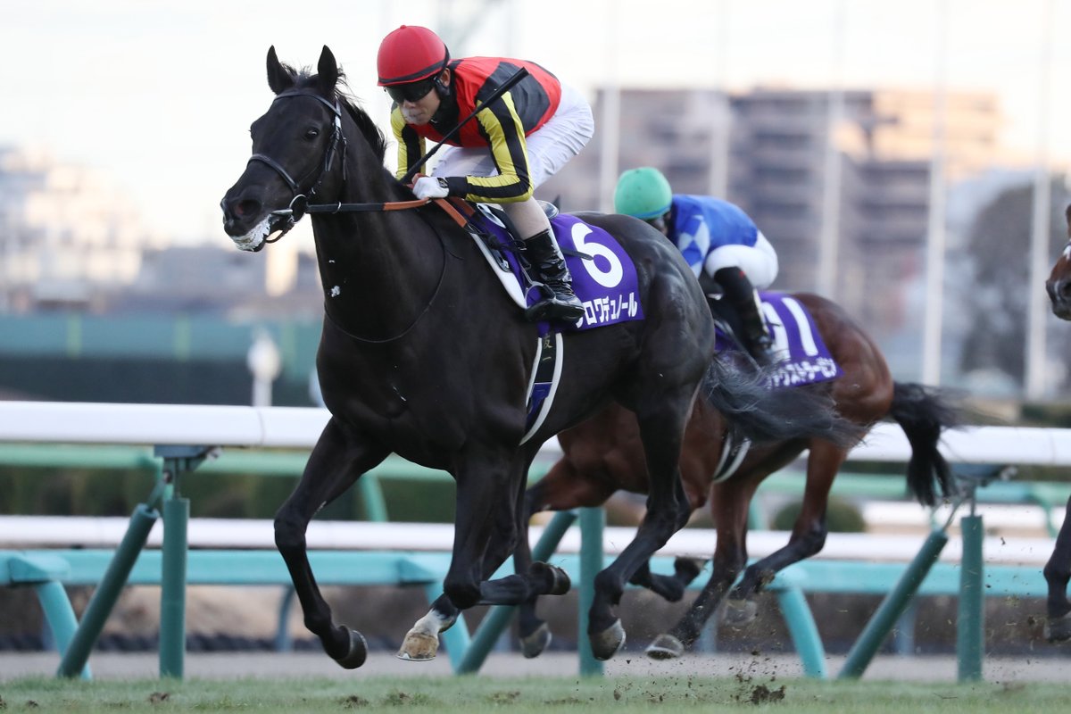 昨年の2歳王者 #クロワデュノール が満3歳の誕生日（3月21日）を迎え