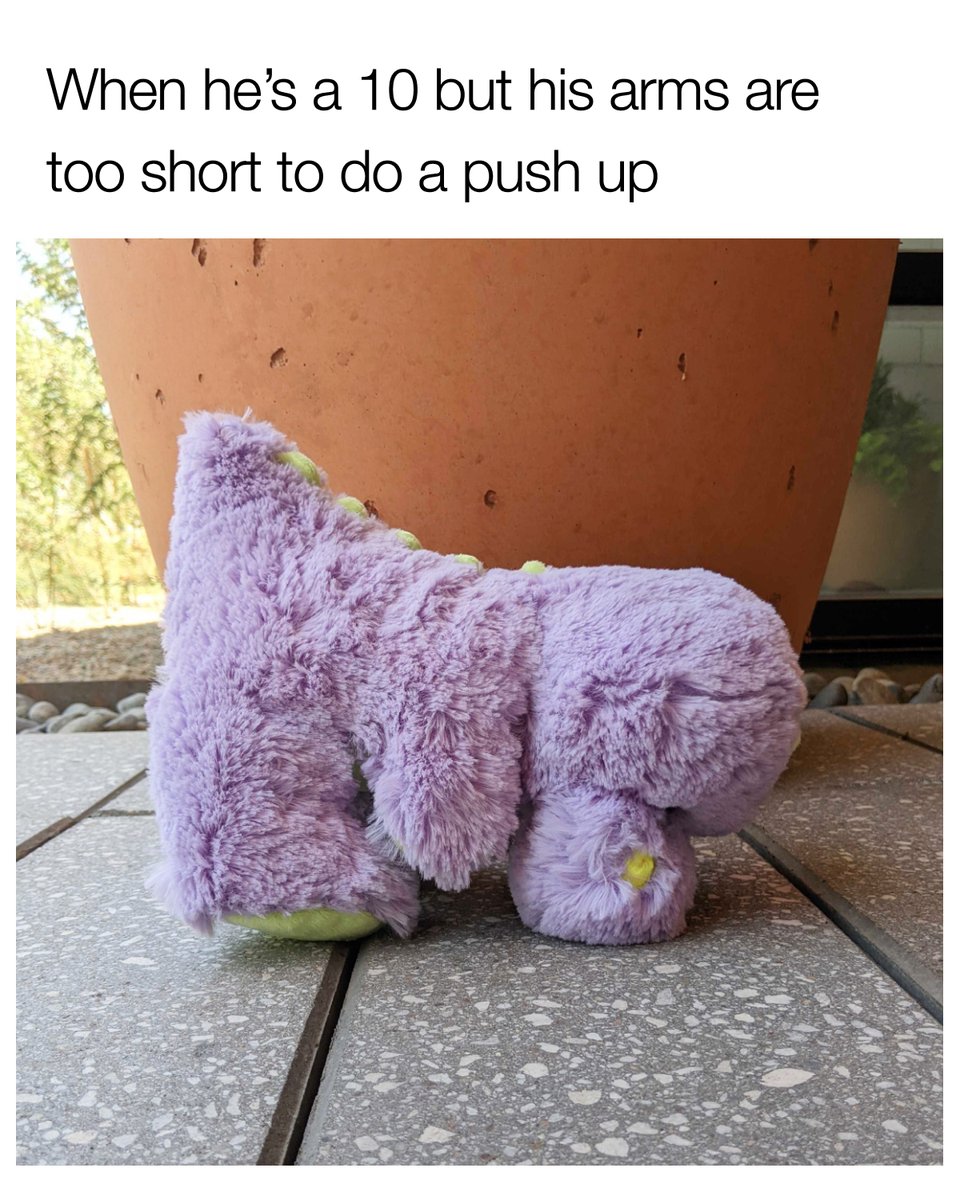 SendAFriend ✨ tweet media