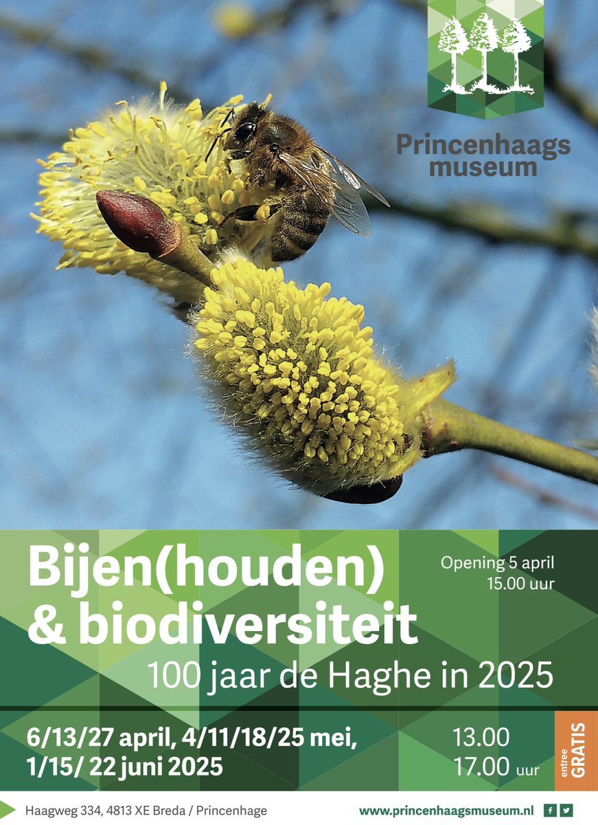 We zijn volop bezig met de voorbereidingen voor onze nieuwe tentoonstelling in de maanden april, mei en juni. Dit omdat Princenhage op 27 april a.s. al 100 jaar en bijenhoudersvereniging, genaamd de Hage, heeft. De tentoonstelling is gratis te bezoeken.