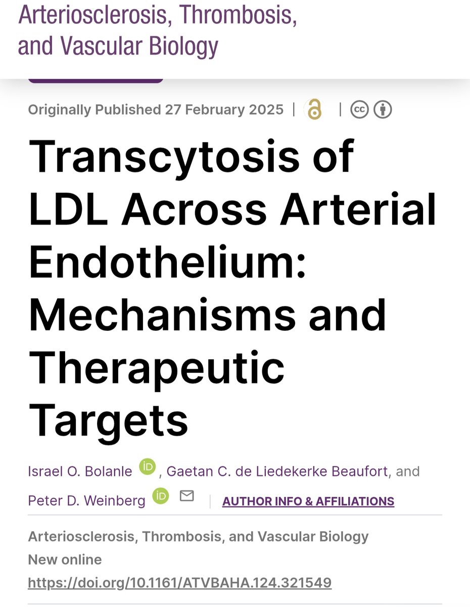 jcrivasferr's tweet image. Among #SRB1, #LDLR, MYDF and #BMP9, I find #BMP9 very promising, due to its great capacity to inhibit #ALK1 mediated #LDL #transcytosis, a predictor of vascular #quiescence and stability and an #angiogenic suppressor in #tumors. @HaoYin20 @endothelialnews @BMVBSoc @CMPLPUCCHILE