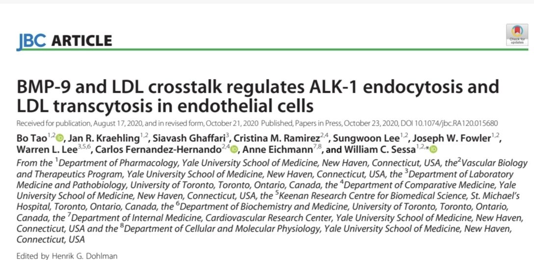 jcrivasferr's tweet image. Among #SRB1, #LDLR, MYDF and #BMP9, I find #BMP9 very promising, due to its great capacity to inhibit #ALK1 mediated #LDL #transcytosis, a predictor of vascular #quiescence and stability and an #angiogenic suppressor in #tumors. @HaoYin20 @endothelialnews @BMVBSoc @CMPLPUCCHILE