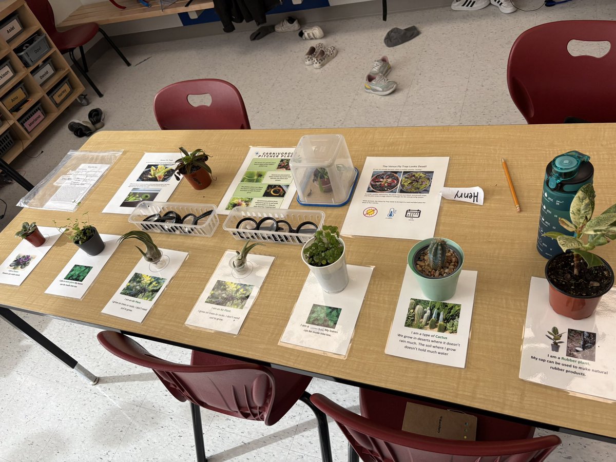 Ms. L Milito tweet media