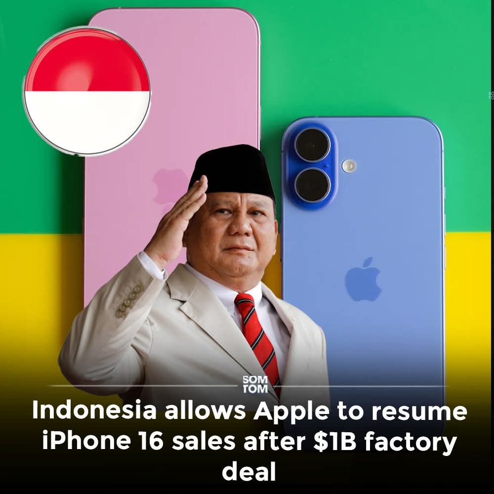 Faut savoir se faire respecter. On ne peut pas profiter d'un marché de 285 millions d'habitants gratis !! Qui est fou ?? Bravooo Indonesia !!!