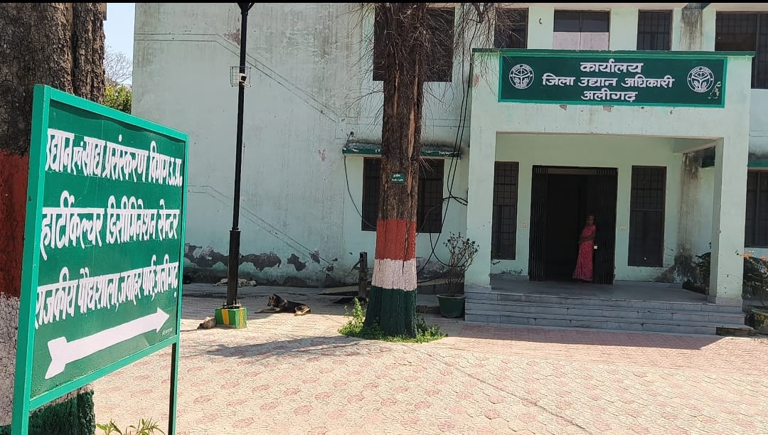 HindiKhabar's tweet image. अलीगढ़ 

⏩ ताला उद्योग के लिए प्रसिद्ध अलीगढ़, अब आलू पाउडर उत्पादन में भी बड़ा नाम बन रहा 

⏩रोजाना 75 टन आलू पाउडर का उत्पादन  

⏩इस्राइल, ब्राजील, इंडोनेशिया समेत कई देशों में निर्यात 

⏩120-130 रुपये प्रति किलो तक बिक रहा आलू पाउडर

 #uttarpradesh #Aligarh #hindikhabar…