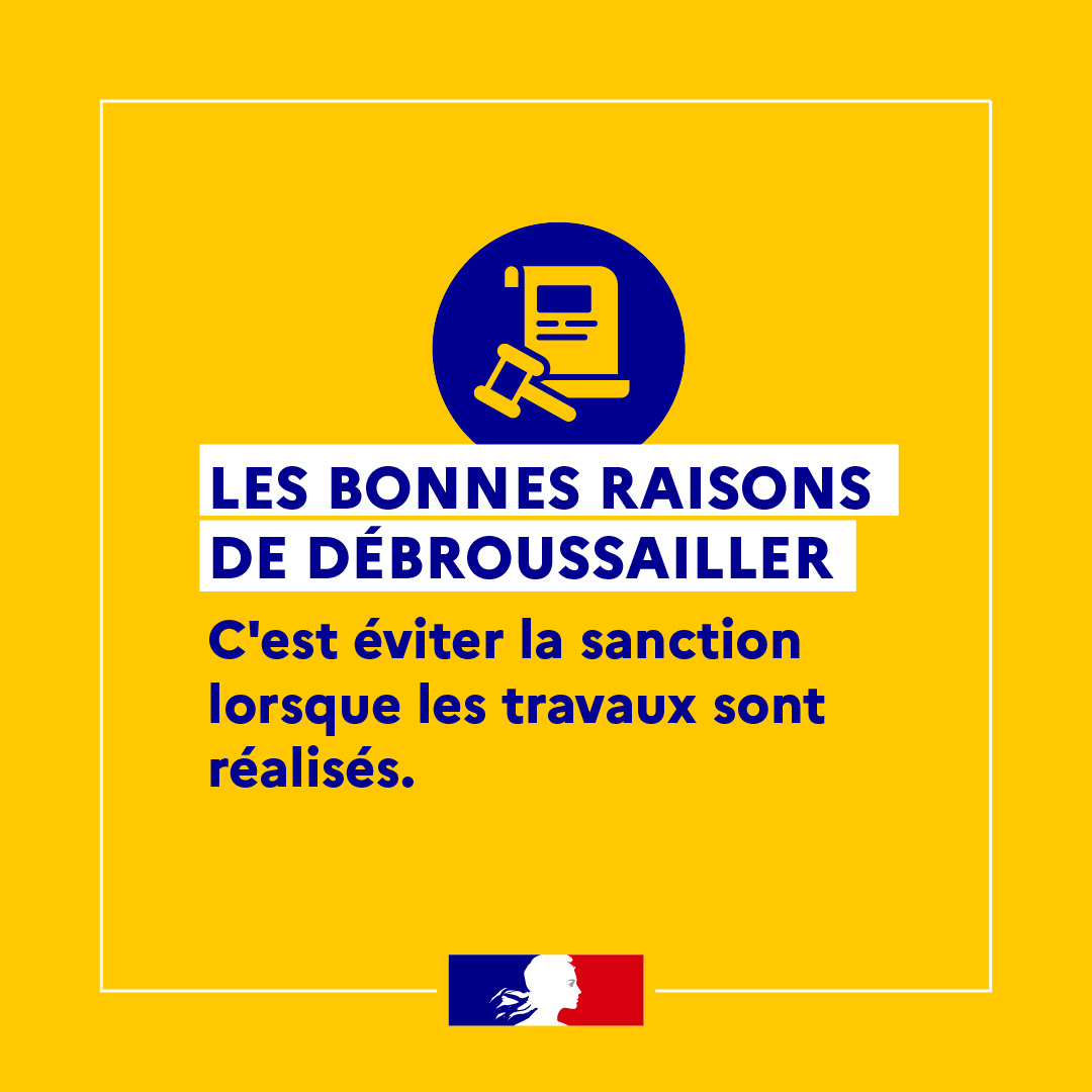 sdis08's tweet photo. Penser à protéger son habitation des feux de végétation dès l'automne, c'est investir aujourd’hui pour sa sécurité de demain #Prefet08 #ArdennesCD08 #SDIS08 https://t.co/nFyP28GFWS