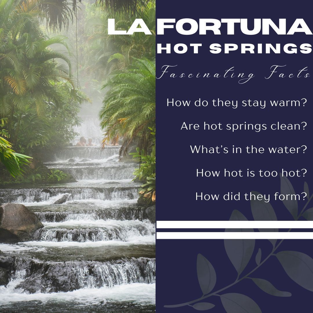 AdventureTourCR's tweet photo. 🔥 Ever wondered how La Fortuna’s hot springs stay warm? 🌋💦 Dive into the fascinating science behind these natural wonders! ✨♨️ #LaFortuna #HotSprings #CostaRica

Learn more: https://t.co/hpIpq6DKdc https://t.co/x3GOwcjlPp