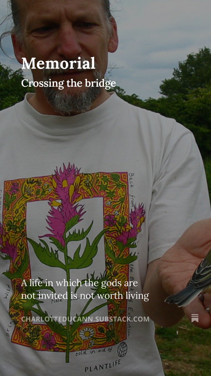 Charlotte Du Cann tweet media