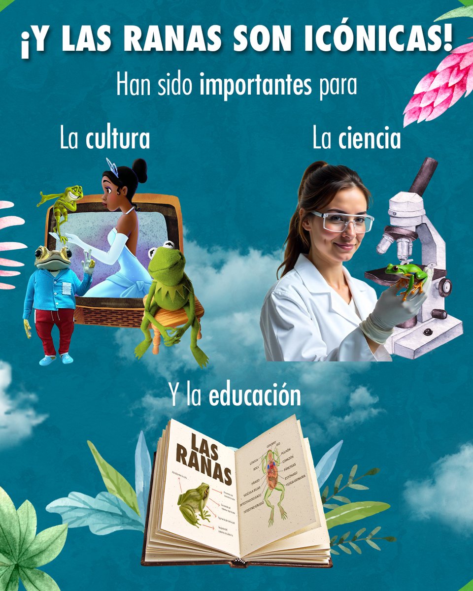 An_fibios's tweet photo. 2/2 Así como las ranas habitan dos ambientes diferentes 💧🌱, nosotros también elegimos ser anfibios 🐸y convertirnos en una agencia de:

🌎 temas ambientales 
📣 y comunicación.

¿Somo justo lo que necesitas? 
¡Conócenos!🔗 https://t.co/EEOq8Lyxgb https://t.co/yO2zQ2vJv6