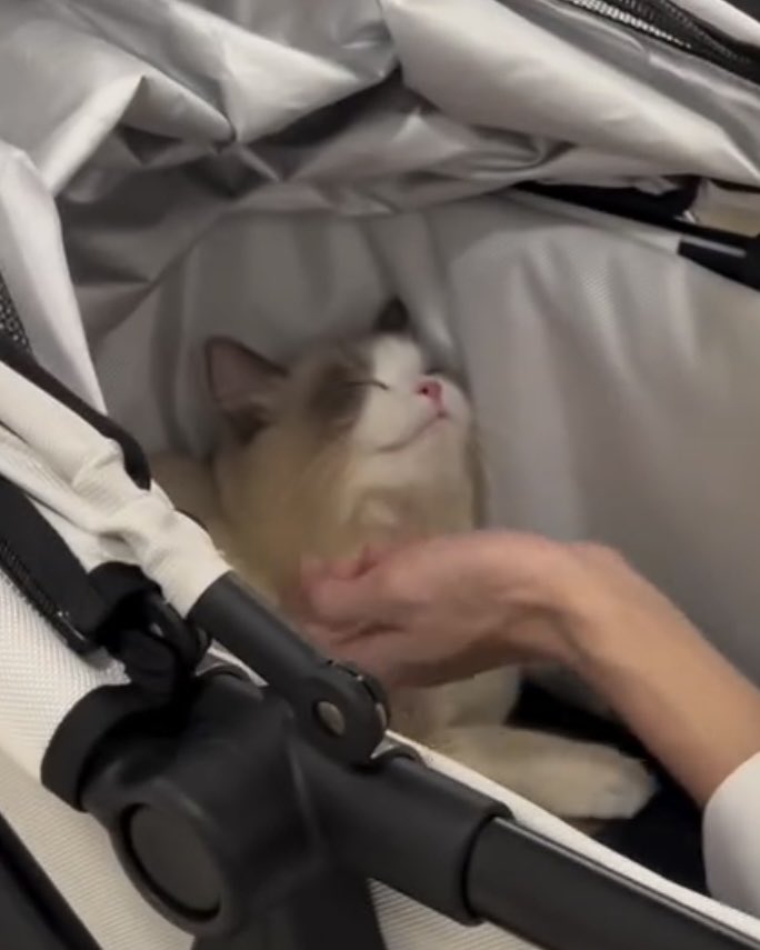 phuwijn's tweet image. 