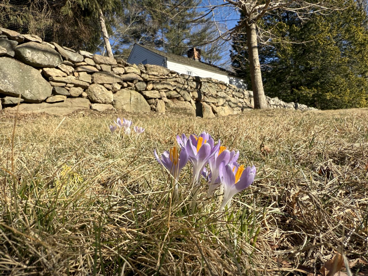 ~tirrel corporation tweet media