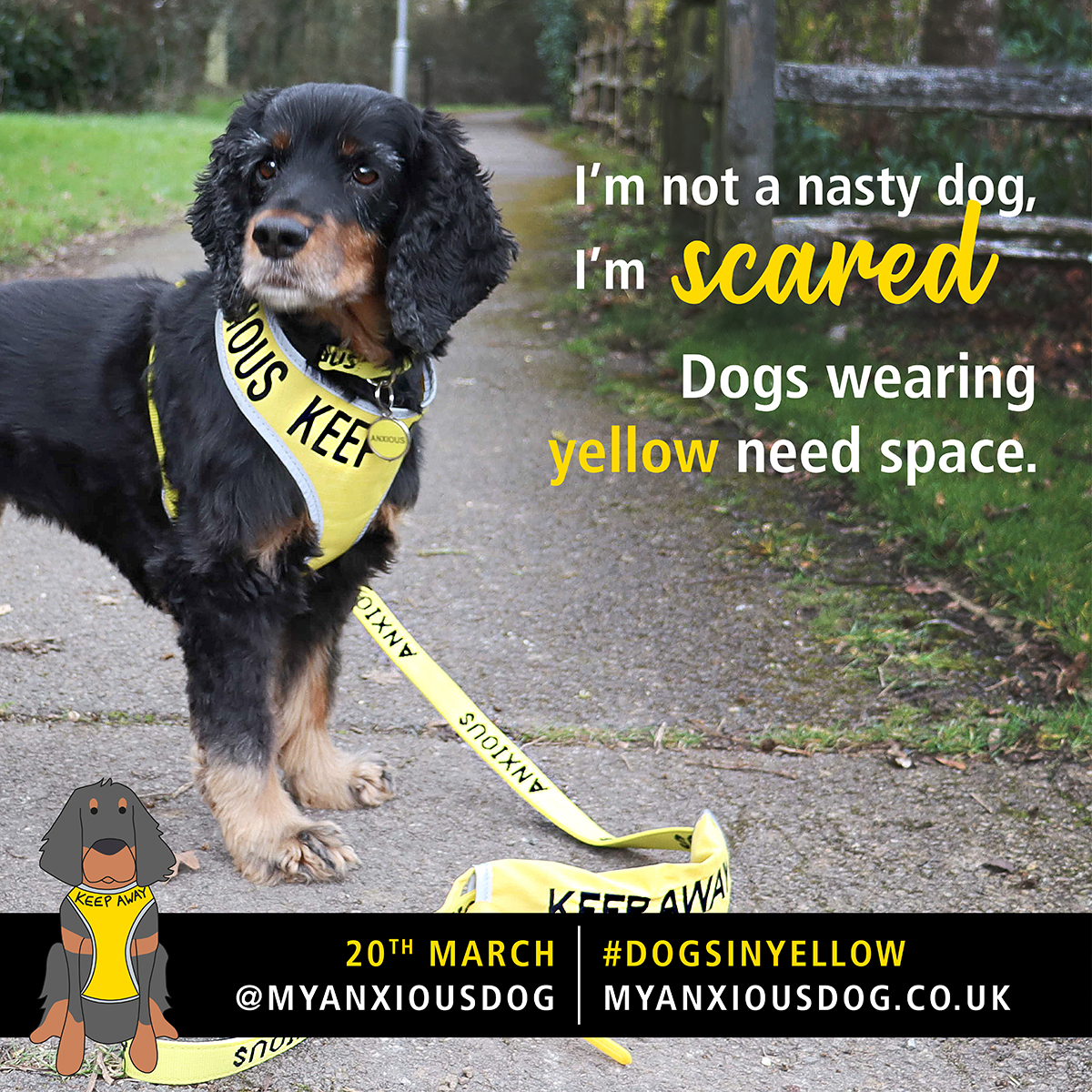 Have you ever seen a dog wearing a yellow ribbon or bandana and wonder what it means? Dogs in Yellow Day is a reminder that some pups are anxious, fearful, or needs some room from other dogs. Learn more about the #dogsinyellow at myanxiousdog.co.uk  

#AllFriendsPetCare