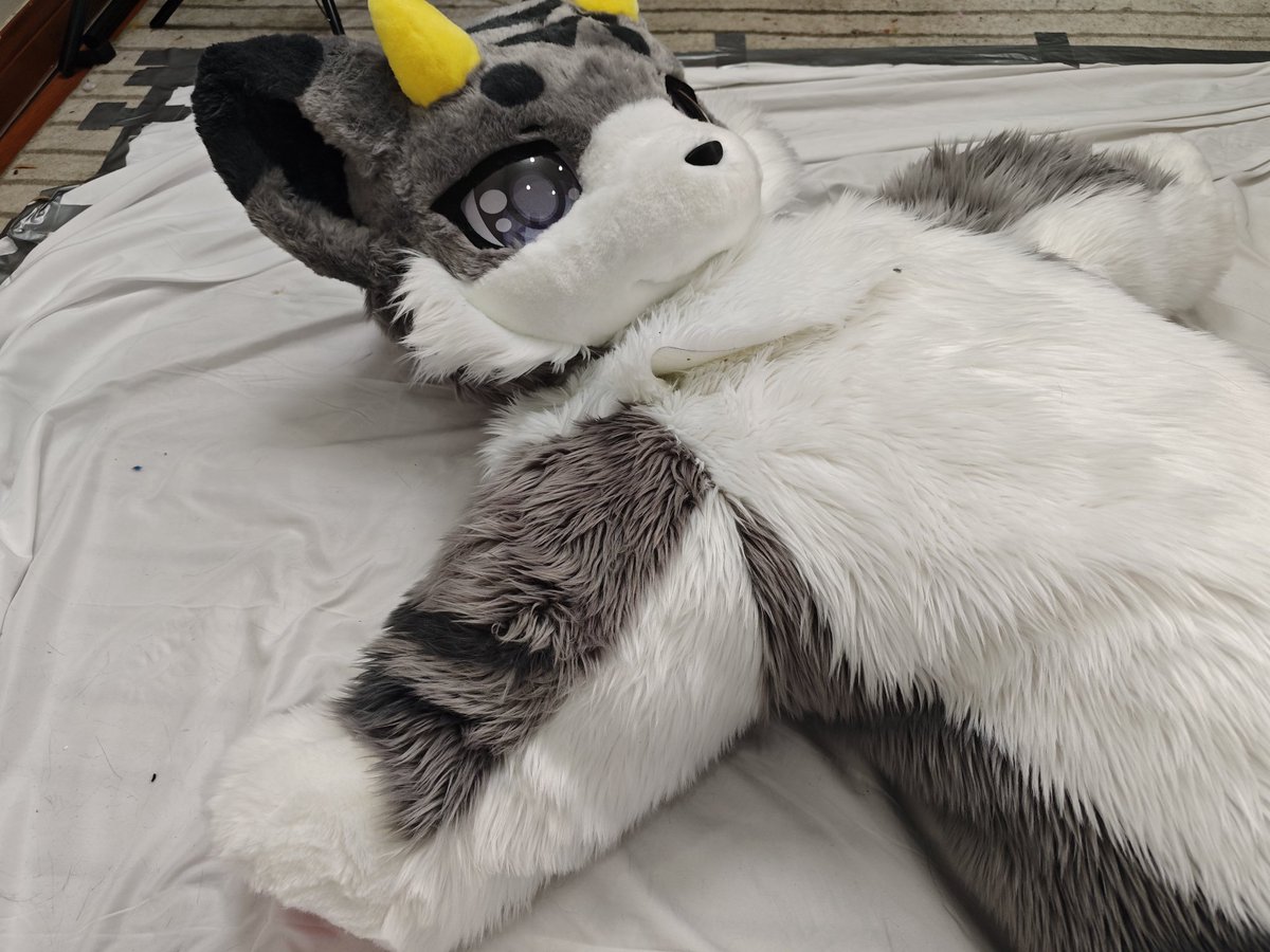 devil cat, devil cat, the devil needs to be punished, who wanna join the parade ？👿👿👿
victim : <a href="/Tanso_HK1201/">Tanso_HK🇭🇰</a> 
#fursuit #bitchsuit #furry #furtasyworkshop