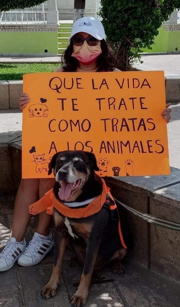 NI MÁS NI MENOS.!. 🐾🕊️🎗️