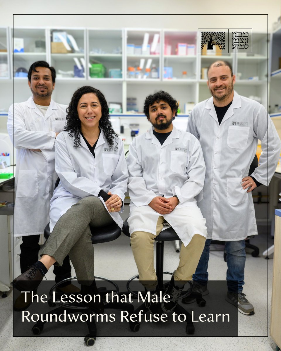 Weizmann Institute (@weizmannscience) on Twitter photo In a new study published in <a href="/NatureComms/">Nature Communications</a>, a team from Dr. <a href="/MeitalOren/">Meital Oren-Suissa</a>'s lab found that male worms do not learn from experience as well as females do – and discovered the neural receptor responsible, which also exists in humans >> bit.ly/male-worm-eng In a new study published in <a href="/NatureComms/">Nature Communications</a>, a team from Dr. <a href="/MeitalOren/">Meital Oren-Suissa</a>'s lab found that male worms do not learn from experience as well as females do – and discovered the neural receptor responsible, which also exists in humans >> bit.ly/male-worm-eng