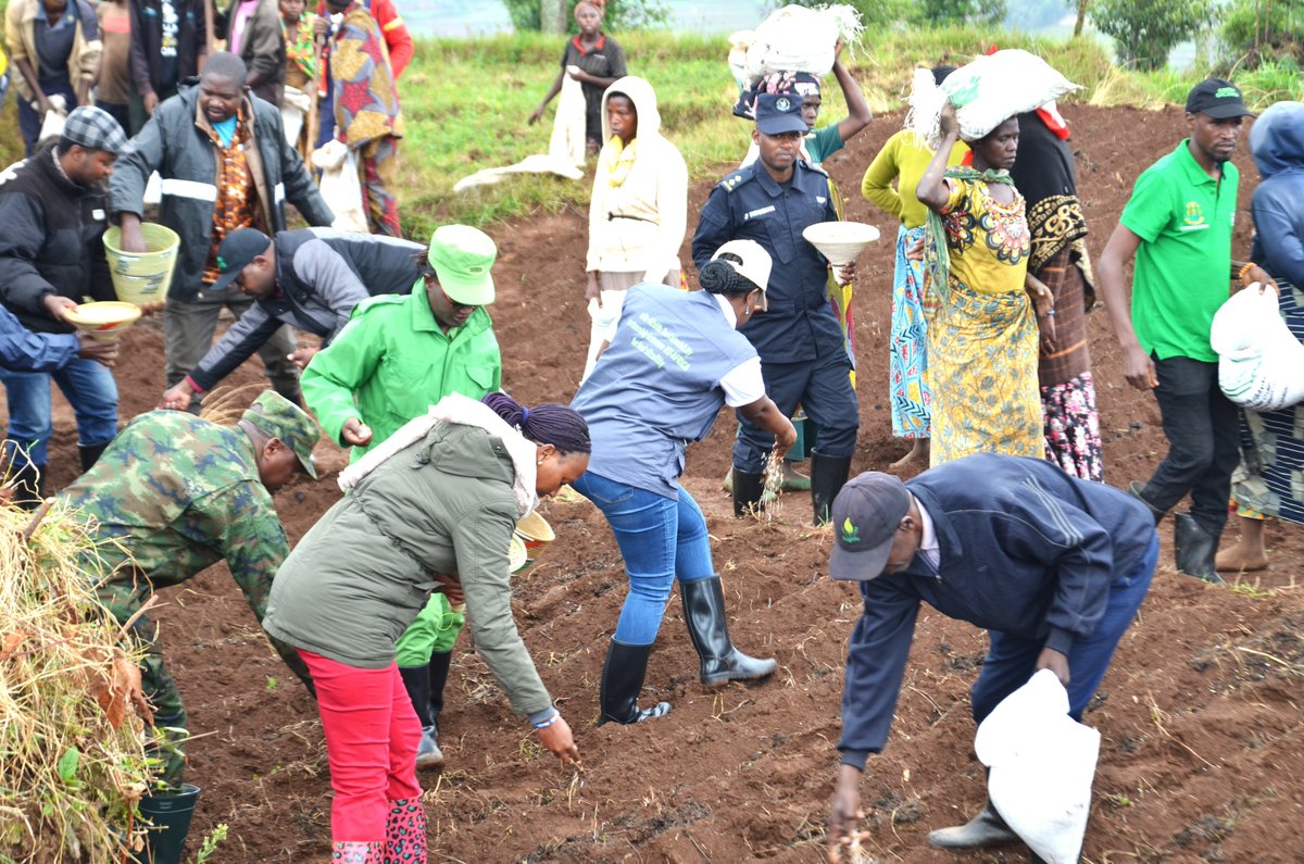 Gicumbi District tweet media