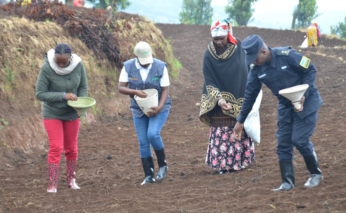 Gicumbi District tweet media