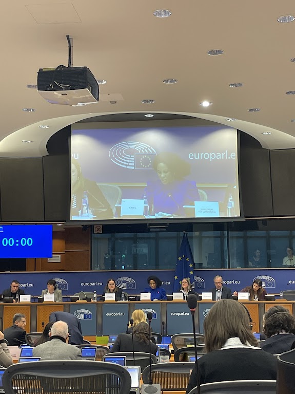 Lifelong Learning Platform (@lllplatform) on Twitter photo 📣 This week we were present at the CULT Committee Meeting at the <a href="/Europarl_EN/">European Parliament</a>!
In this meeting, we heard about the future of the European Alliances and the demands to focus on securing a stable funding framework and the legal status of these Alliances. 📣 This week we were present at the CULT Committee Meeting at the <a href="/Europarl_EN/">European Parliament</a>!
In this meeting, we heard about the future of the European Alliances and the demands to focus on securing a stable funding framework and the legal status of these Alliances.