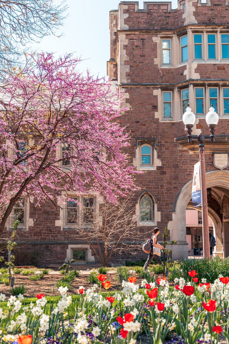 To fresh beginnings. Hello spring. 🪻🌸🌷