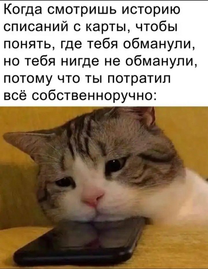 kXIQ7U7OC8nsGnC's tweet image. 