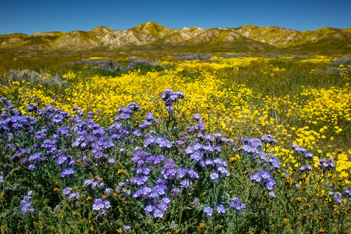 (4/4) Find NOAA #SpringOutlook 2025 maps at:

noaa.gov/news-release/s…

@nws