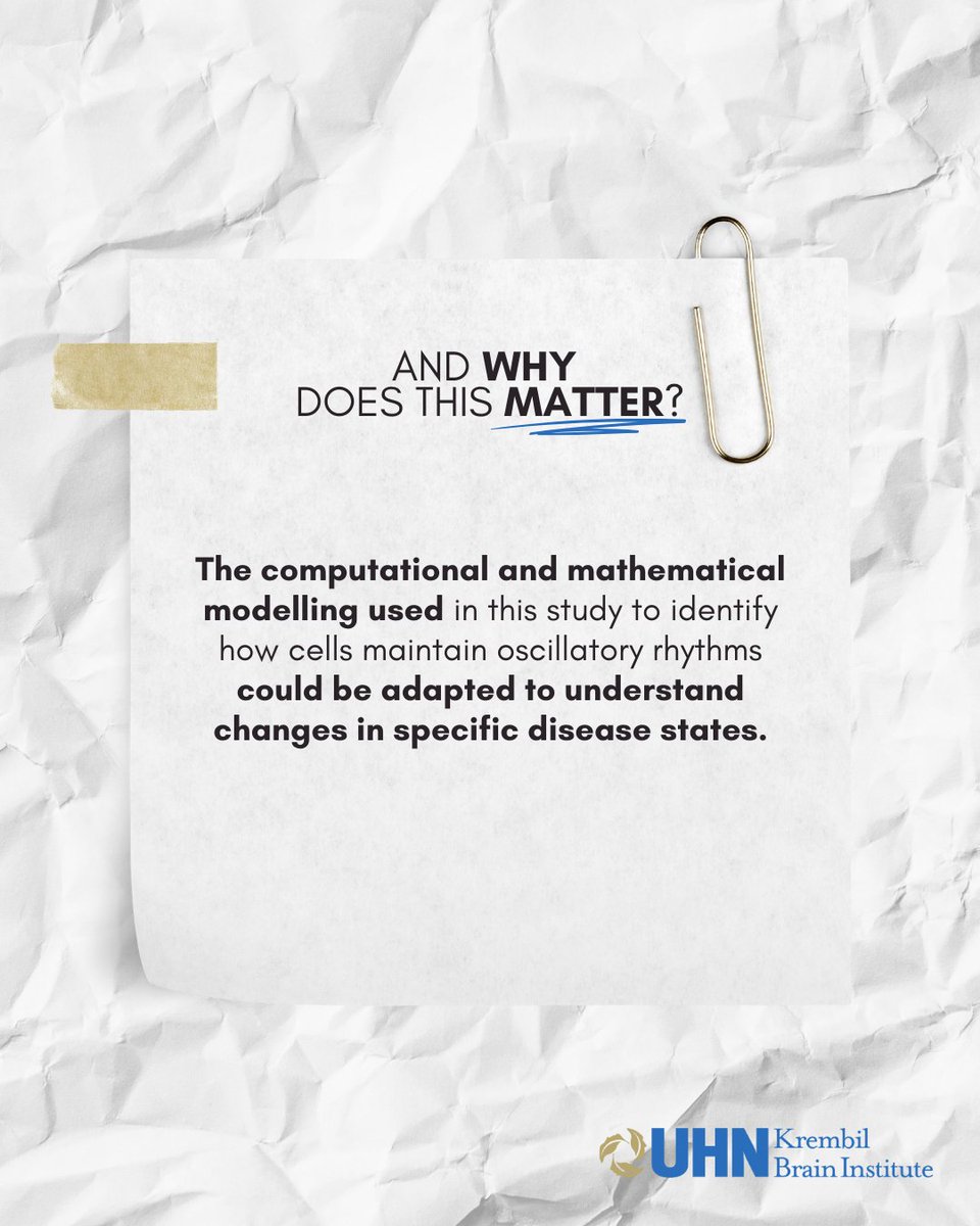 KBI_UHN's tweet image. 📖✨Congratulations to Dr. Frances Skinner, Krembil Emerita Scientist, and Dr. Jérémie Lefebvre, Krembil Affiliate Scientist from the @KCNhub, for their recent study published in Network Neuroscience!

🔗: linktr.ee/krembil