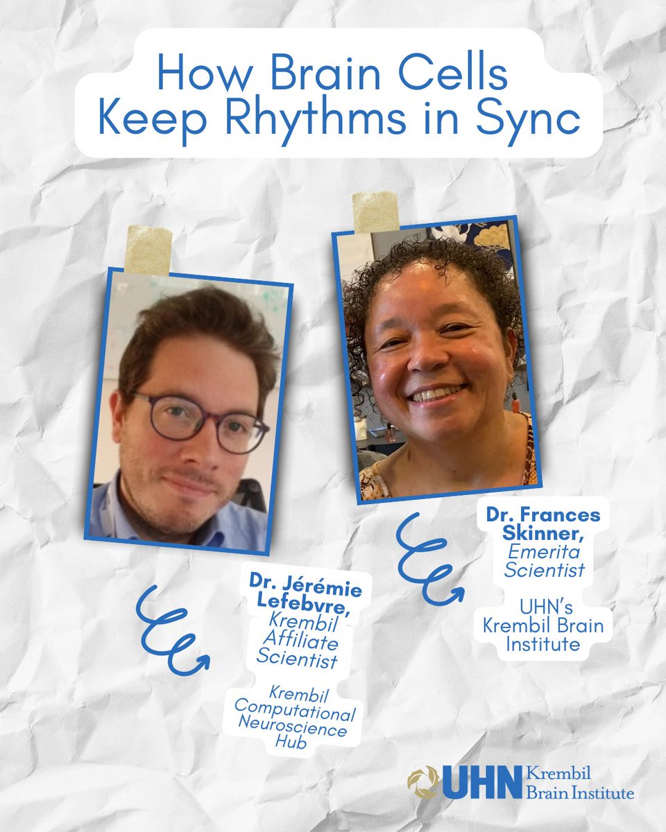 KBI_UHN's tweet image. 📖✨Congratulations to Dr. Frances Skinner, Krembil Emerita Scientist, and Dr. Jérémie Lefebvre, Krembil Affiliate Scientist from the @KCNhub, for their recent study published in Network Neuroscience!

🔗: linktr.ee/krembil