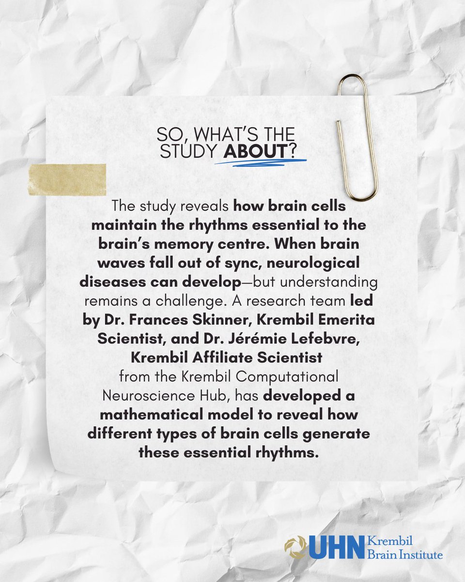 KBI_UHN's tweet image. 📖✨Congratulations to Dr. Frances Skinner, Krembil Emerita Scientist, and Dr. Jérémie Lefebvre, Krembil Affiliate Scientist from the @KCNhub, for their recent study published in Network Neuroscience!

🔗: linktr.ee/krembil