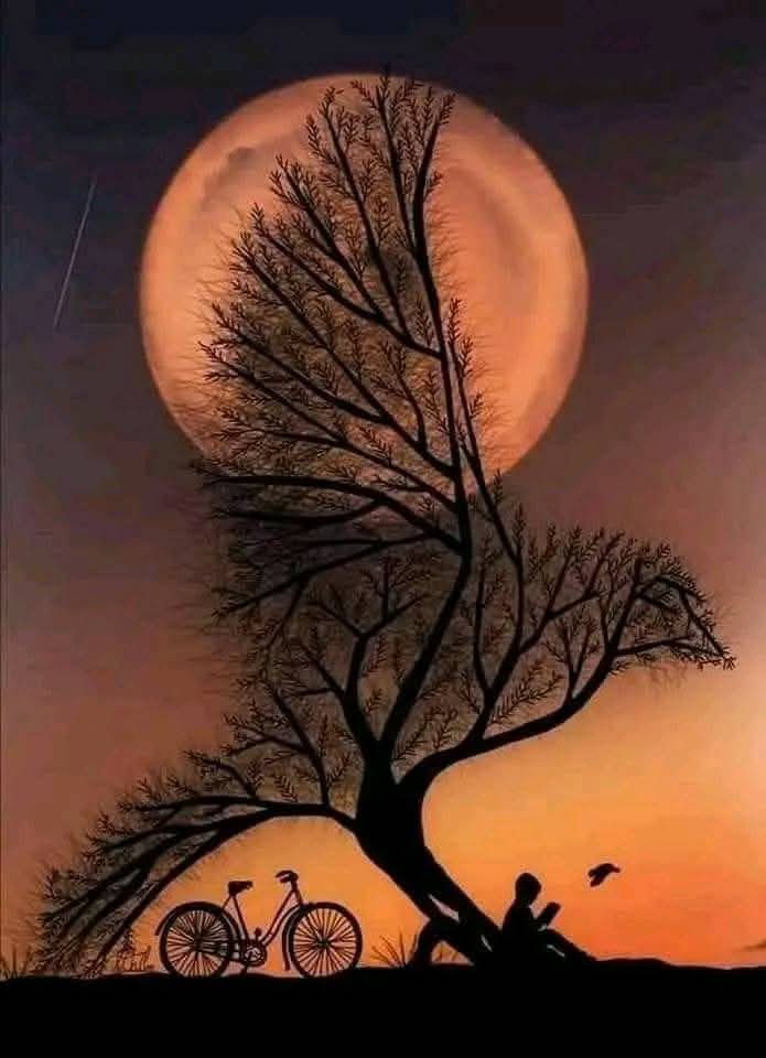 کیفیات وہ خاموش چیخیں ہیں، جو لفظوں کے بغیر بھی سنائی دیتی ہیں🎋