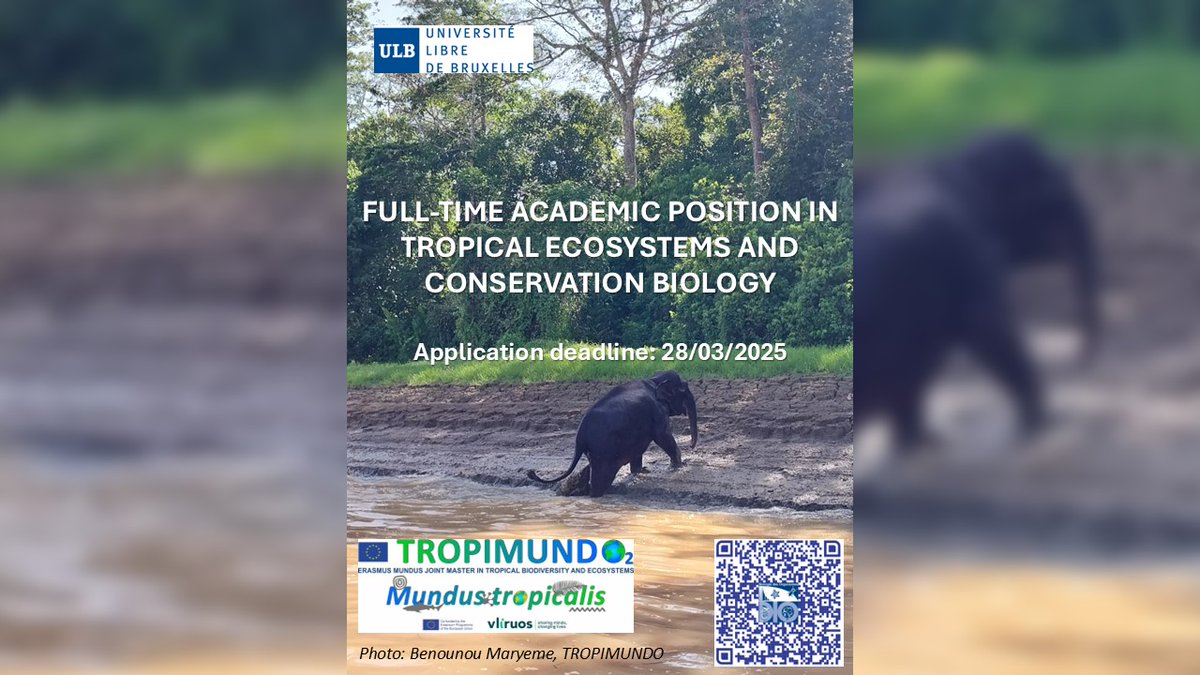 LAST WEEK for the submission of applications to our tenure-track position in tropical ecosystems and conservation biology
DERNIÈRE SEMAINE pour les soumissions pour notre chaire profilée en écosystèmes tropicaux et biologie de la conservation (CDI) 
#interdisciplinarythinking