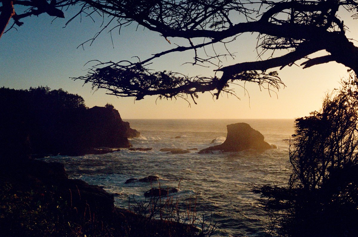 matsefcik's tweet photo. Washington on 35mm film https://t.co/OlXLKza0jl