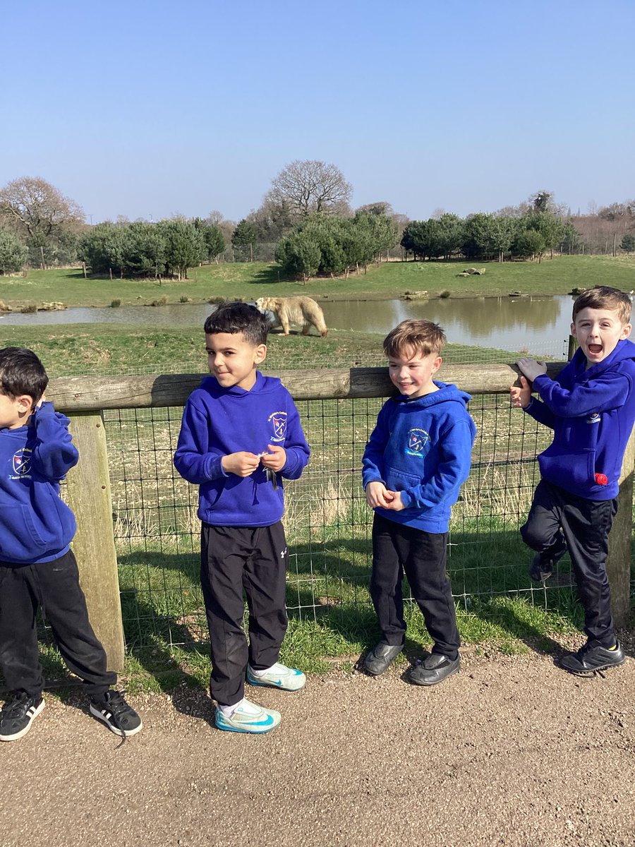 St Winefride's Catholic Primary Academy tweet media