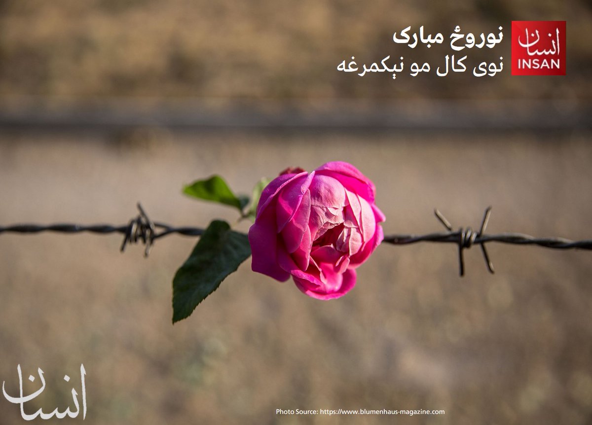 #نوروځ د افغانانو لرغونی اریایي میراث دی او دا ورځ پر نیستۍ د غلبې او د ژوند او طبیعت نوی پيل دی. 

هیله لرو چې دا ورځ په وطن کې د افغان پسرلي پيلامه شي؛ او د افغان وطن او څېرمه ټول ملتونه چې دا ورځ لمانځي د ټولو په ژوند کې د مینې، درناوي، دوستۍ، او صمیمت باعث وګرځي.

په سیمه او