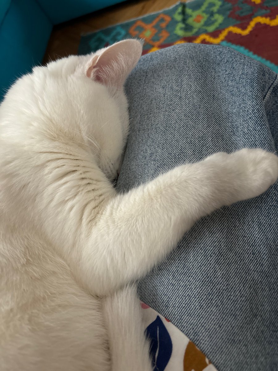 Dashtetina tweet media