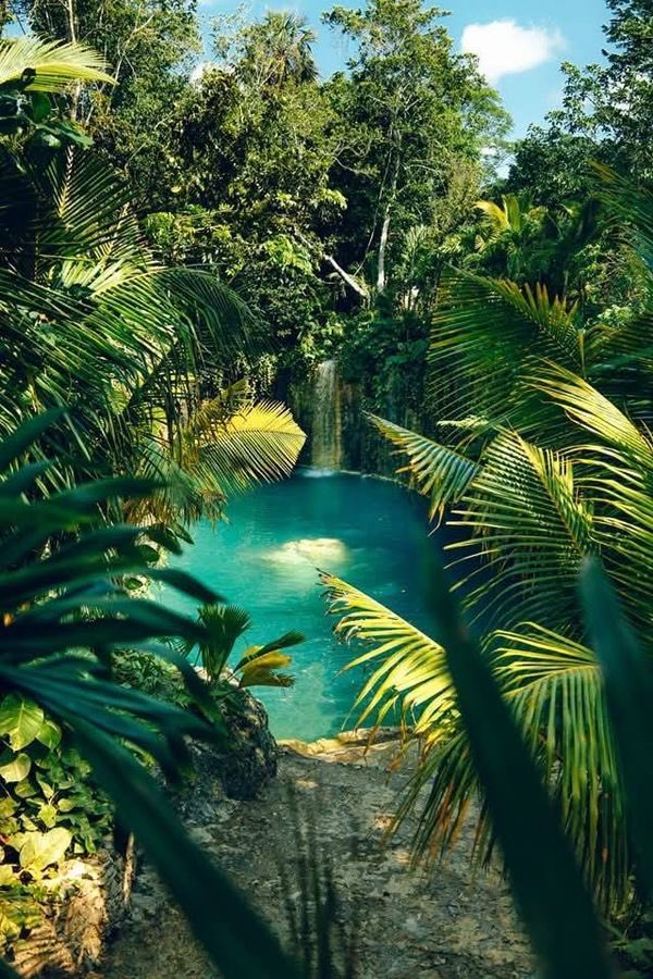 🌿 Dicen que los cenotes son sagrados… y cuando entras a Atik, lo entiendes. 🌊✨ Un santuario natural donde el tiempo se detiene y la naturaleza te envuelve. ¿Has sentido esa conexión? <a href="/robpalazuelos/">Roberto Palazuelos</a> #MayanSecrets #CenoteAtik