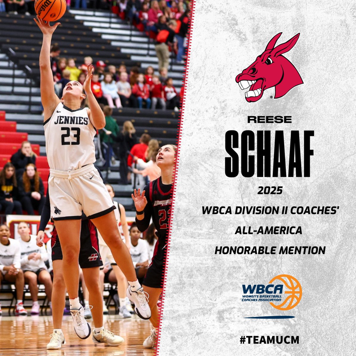 Jennies Basketball (@ucmwbb) on Twitter photo Reese Schaaf has been named a 2025 <a href="/WBCA1981/">Womenβs Basketball Coaches Association</a> Division II Coaches' Honorable Mention All-American!
She averaged a MIAA-best 18.6 points and 10 rebounds per game during the 2024-25 season.
Congratulations, Reese!
π | bit.ly/4iB7FkF
#teamUCM Reese Schaaf has been named a 2025 <a href="/WBCA1981/">Womenβs Basketball Coaches Association</a> Division II Coaches' Honorable Mention All-American!
She averaged a MIAA-best 18.6 points and 10 rebounds per game during the 2024-25 season.
Congratulations, Reese!
π | bit.ly/4iB7FkF
#teamUCM