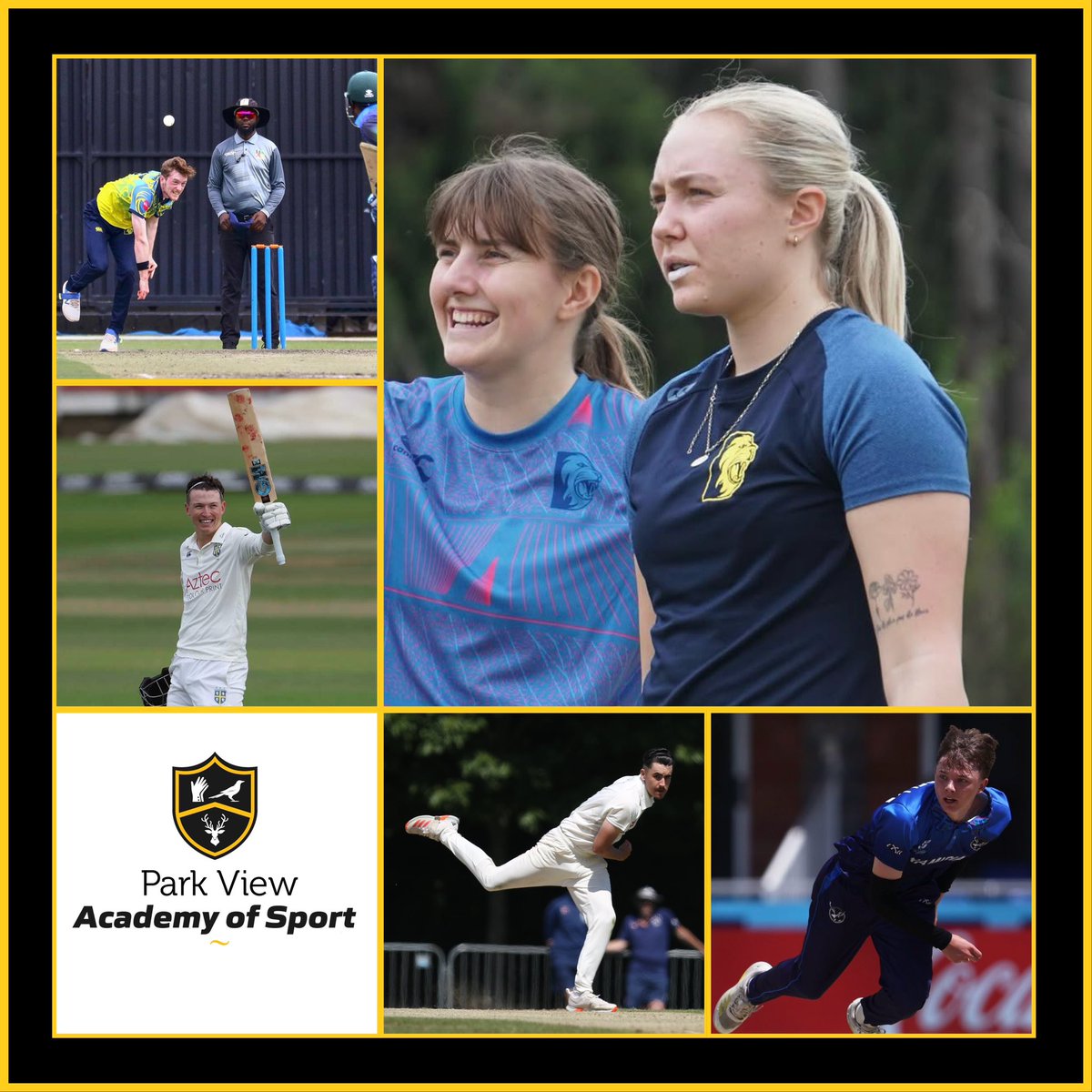 Park View Cricket Academy tweet media